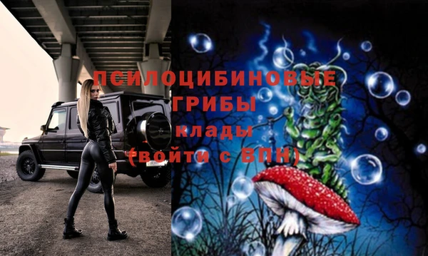 соль курить ск Алексеевка
