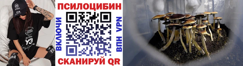нарко площадка клад  Новомичуринск  Галлюциногенные грибы мухоморы  hydra ТОР 